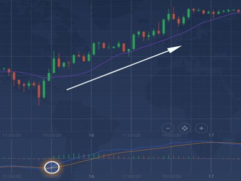 بروکرهای معتبر از نگاه سایت investing